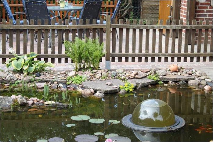 Gartenteich mit Seerosen